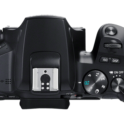Canon EOS 250D [ Kit18-55mm III ]