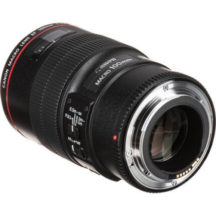 Canon EF 100mm f/2.8 IS USM Macro