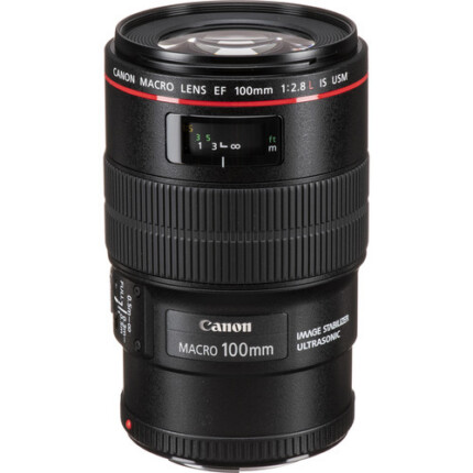 Canon EF 100mm f/2.8 IS USM Macro