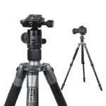 Kingjoy A81 Carbon Fiber Tripod with T11 Low Profile Ball Head