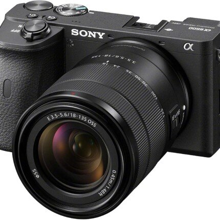 Sony Alpha A6600 Mirrorless Camera with 18-135mm Zoom Lens