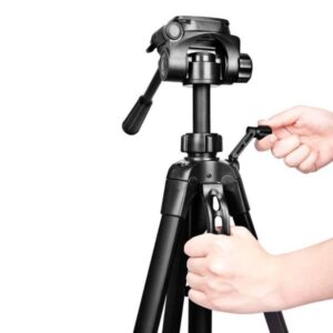 Kingjoy A81 Carbon Fiber Tripod with T11 Low Profile Ball Head