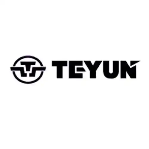 TEYUN logo